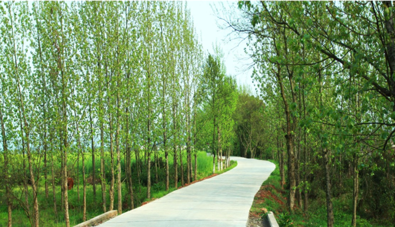 江西信豐縣工業(yè)園科之光路（緯二路）新建大道、產(chǎn)業(yè)大道北段一期工程設(shè)計(jì)、施工總承包（EPC）